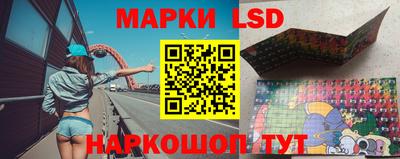 индика Долгопрудный