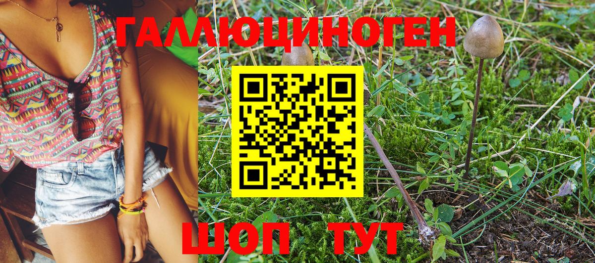 Галлюциногенные грибы Psilocybine cubensis  Вход с VPN  Новозыбков 